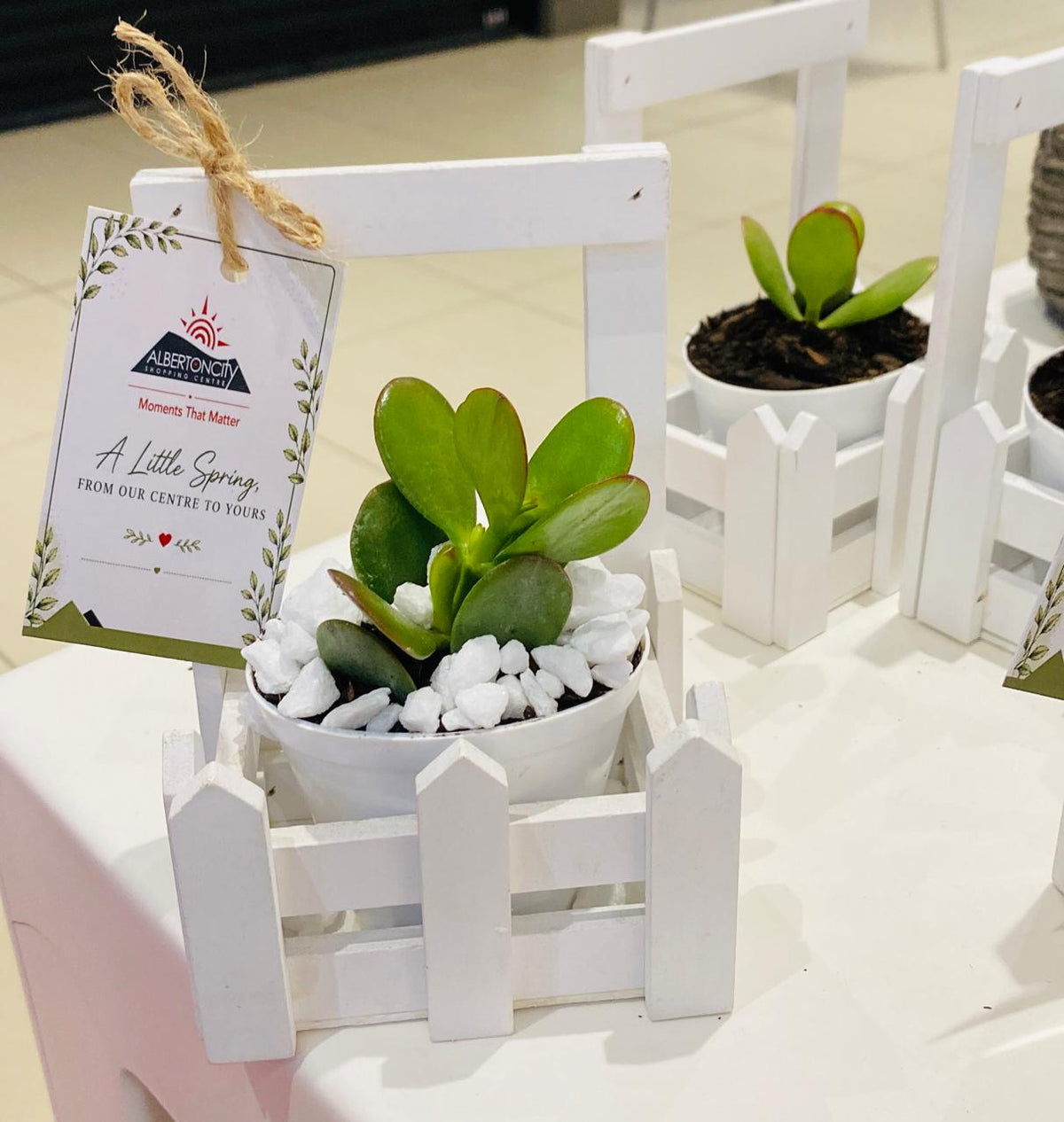 Wooden Tag Succulent