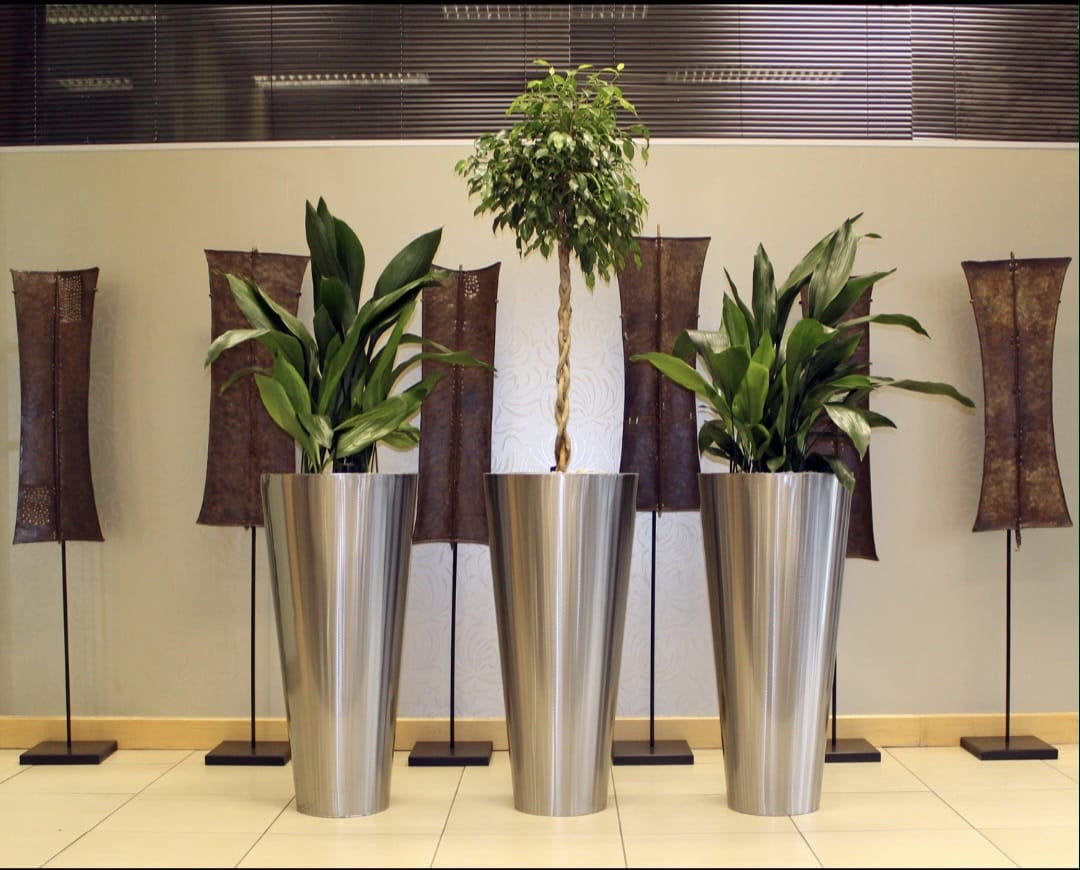 Single Vase with No Plants