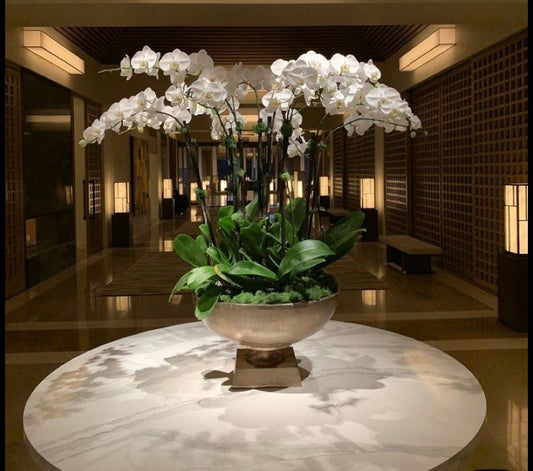 London Custom Made Orchid
