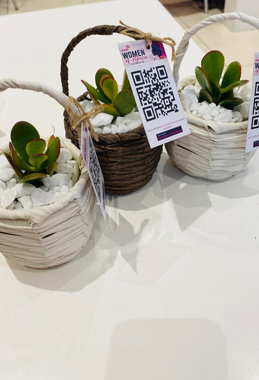 Wooden Tag Succulent